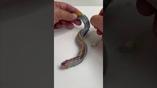 Try out this cool experiment with Play-Doh and glue to create your very own snake skin!