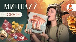 Вражда и Споры | Мицелий — Обзор настольной игры