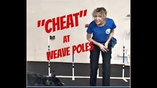 How to "Cheat" at Beginning Weave Poles