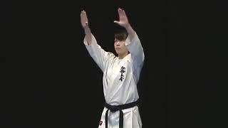 Shinkyokushin Kata - Kanku Dai 新極真会型観空大