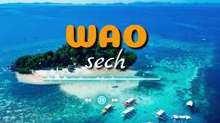 WAO-SECH