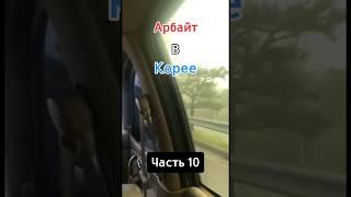 Продолжение Арбайта в южной Корее  #корея #путешествия #кореясеул #арбайт #работавкорее