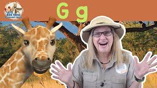 Zoo Crew Alphabet Show | Giraffes and Letter G