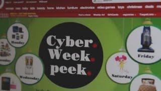 Cyber Monday: Expert explains how to shop safely online