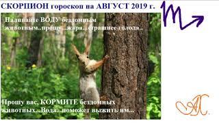 Скорпион гороскоп на АВГУСТ 2019 г.