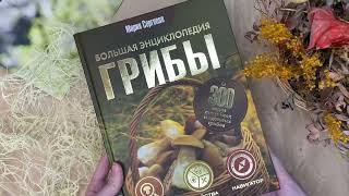 Листаем книгу "Грибы. Большая энциклопедия”, серия "Популярная энциклопедия"