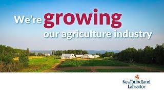 The Way Forward – On Agriculture