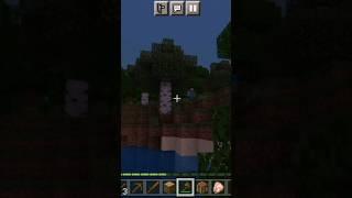 #shortsvideo #minecraft #shorts #short #shots #shot #herobrine #minecraftsurvival #meme#memes