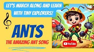  Tiny Explorers: Happy New Year  The Amazing Ant Song: Tiny Explorers Adventure! 