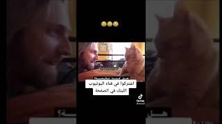 فصلان القط وصاحبه 