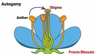 Pollination | Types of Pollination | Pravin Bhosale