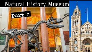 Natural History museum||London museum|| MB travel videos||