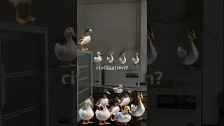 Duck's Hidden Treasure Discovery in the Marshlands ️ #YouTubeShorts #duckfamilytreasure