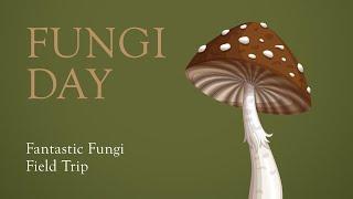 Fungi Day: Fantastic Fungi Field Trip