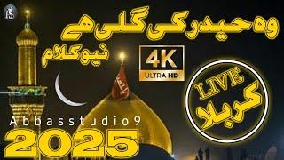 MOLA Hussain POWERFUL Manqabat 2025 | NEW MANQABAT 2025-26 | QASIDA | QAWWALI | OFFICIAL QASIDA 2025