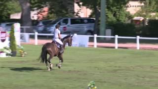 DOMINUS`Sporthorses from Holland` FOR SALE peter bulthuis