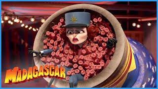 DreamWorks Madagascar |  It's That Horrible Woman | Madagascar 3  Europe's Most Wanted   Kids Movies