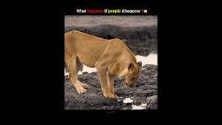 What if people disappear ?  | #shorts #earth