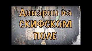 Коп по скифам, Я НАШЕЛ ДРЕВНИЕ МОНЕТЫ, поиск золота и серебра скифов