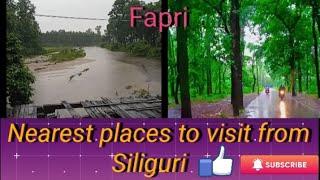 Nearest places from siliguri.Fapri forest.#travel #nature#viralvideo@rupamaguharoy6926