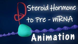 Steroid Hormone Eukaryotic Gene Regulation