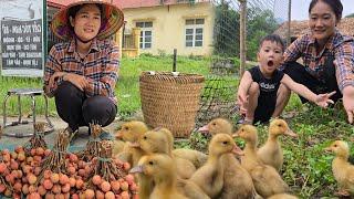 Starting Her Small Farm – Duck Coop Complete and New Life Begins