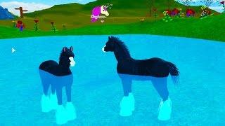 Baby Pegasus Foal & Friends - Horse Heart Let's Play Online Roblox Horses Game