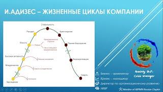 Жизненные циклы компании (И.Адизес) Часть 1