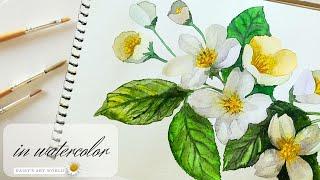 How I paint jasmine flowers - watercolor layer by layer. No pencil!