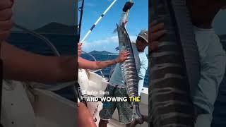 184 Pound Wahoo World Record Caught! #fishing #fish