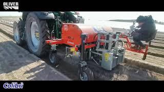 GAMMA SARCHIATRICI OLIVER AGRO INTERROW WEEDING MACHINES RANGE BINEUSE HACKMACHINE BINADORA ENG.