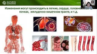 Реабилитация нервной системы после коронавирусной инфекции