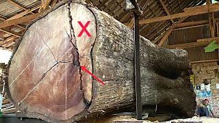 The Mistake of Logging Becomes Lucky - Splitting Teak Wood with a Sawmill