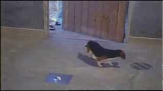 Bizarre Banned Commercials From Classic TV History
