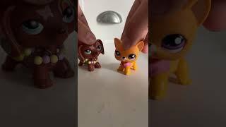 A fake lps tried to be in a video. #lps #shorts