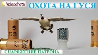 Охота на гуся! СНАРЯЖЕНИЕ патрона -  Videoohota