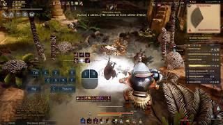 Black desert online Ninja leveling NOOB