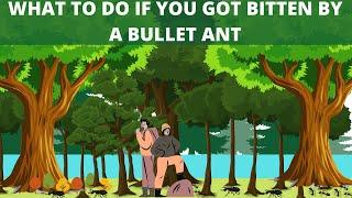 What To Do If You Got Bitten By A Bullet Ant - Most Painful Bite Human Can Experience - Bullet Ants