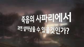 SEA LIFE on Coupang.com