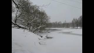 Река Черепеть. д. Краинка. Тульская обл.