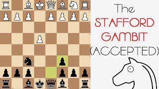 The Stafford Gambit Accepted: Chess Openings