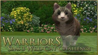 A Forest-Touched Wild Cat  Warrior Cats Sims 3 Legacy - Episode #1