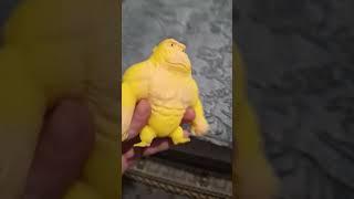 monkey  #funny