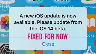 iOS 14.2 beta 4 how to fix New Beta Update Pop Up 