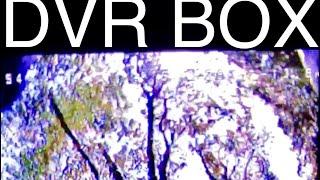 DVR Box Cam | FPV Freestyle |