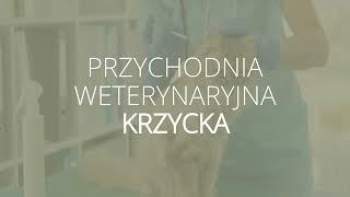 Lecznice zwierzęce Wrocław  Przychodnia Weterynaryjna Krzycka