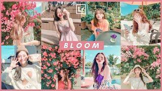 Free Lightroom Preset Free DNG XMP | Lightroom Mobile Editing Tutorial Soft Color | Bloom Selfie 