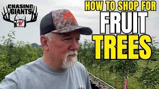 Chasing Giants TV - Don Higgins’ Guide to Picking Healthy Trees After Fire Blight Challenges