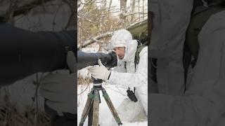 2 Days of Winter Bird Photography - Dipper, Gear and Campfire in Snow