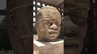 Colossal Olmec Head